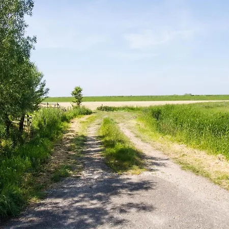 4-person Rustiek In Schagen